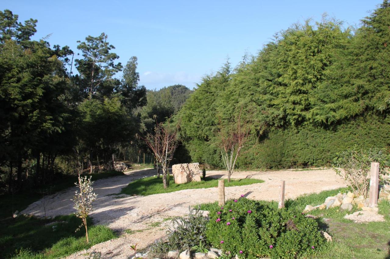לינה וארוחת בוקר Carvalhal Bemfeito Quinta Japonesa מראה חיצוני תמונה